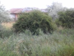 Fűnyírás